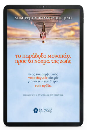 The Paradoxical Path to the Meaning of Life &ndash; eBook